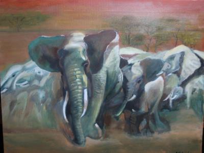 Elephants