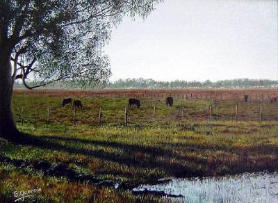 Atardecer en el campo