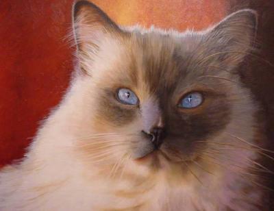 Ojos de cielo