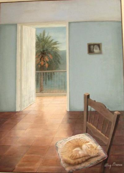 La siesta del gato