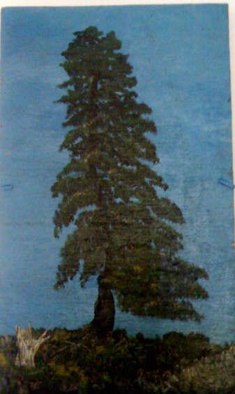 Árbol