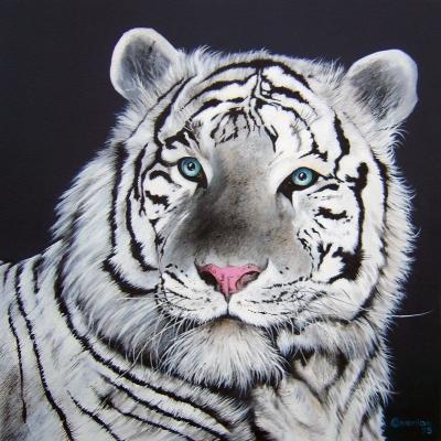 Tigre branco