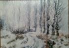 Bosque nevado
